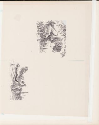 Unknown Artist? | Boy & Alligator Ink Art | Anthony’s Comic Book Art