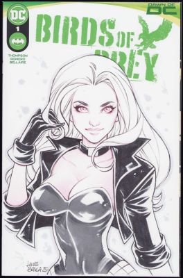 Laura Braga | Birds of Prey #1 - Oa Sketch Cover - Signed 2025 | Anthony’s Comic Book Art
