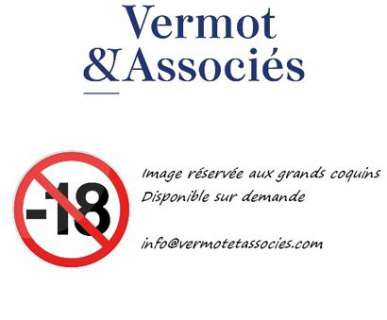 Varenne Alex L’origine... | VARENNE Alex L’origine du monde Mine de plomb signée... | Vermot et Associés