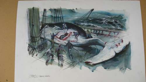 Follet, René - Dessin original en couleur - L’insolite baleine | Catawiki