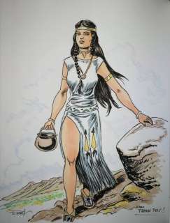 Frank Sels / Erwin Sels (Ersel) | Zilverpijl - De jeugdavonturen van de Kleine Antilope 1 - Cartonné - EO - (2015) | Catawiki