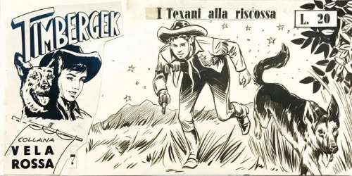 Pietro Gamba Timbergek: I Texani alla riscossa