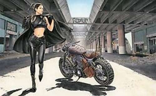 Lounis Chabane | Portfolio Calamity Riders - Dessin original en couleur de Lounis Chabane - Format : 32 x 21 cm (2022) | Catawiki