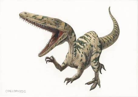 Bunya Watanabe’s Hand-Drawn Color Illustration "Coelophysis" | Mandarake (Big Web)