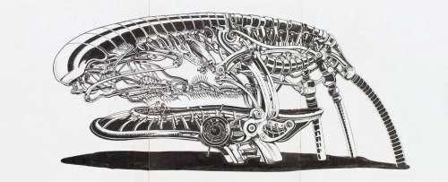 Jakub Woynarowski (b. 1982), "Kolonia karna", 2006, | Desa Unicum