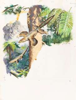 Burian Zdenek - "Gli animali della Preistoria - Proaves", 1971 | Finarte