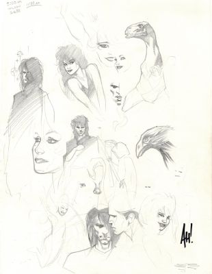 Adam Hughes | 1993 Sketch Book 11 X 14 Inch, Several Sandman Character Designs, with Photo of Adam Hughes Signing Actual Artwork! | Romitaman