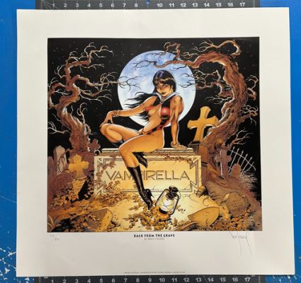 Dave Stevens "BACK FROM THE GRAVE" Vampirella Print 1992 Signed Numbered 376/850 | eBay US (Buy It Now)