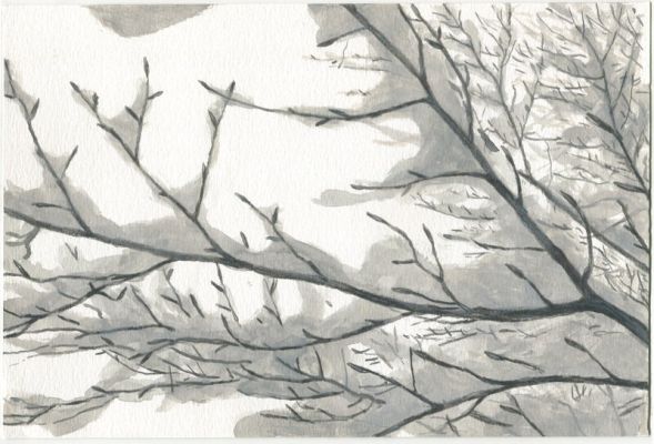 Nicolas Debon | La montagne d’encre (2026) | 2DGalleries