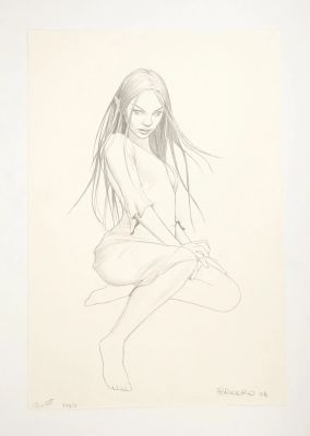 Brucero Bruno a... | BRUCERO Bruno A la recherche de la mandragore Dessin... | Vermot et Associés