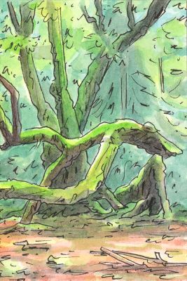 Jérôme Mulot | 2025 - Forêt Morvan | Huberty Breyne Gallery