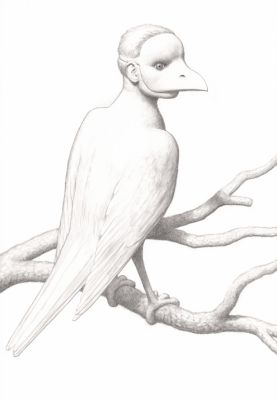 Pierre Monestier | 2026 - Vrai-faux perché | Huberty Breyne Gallery