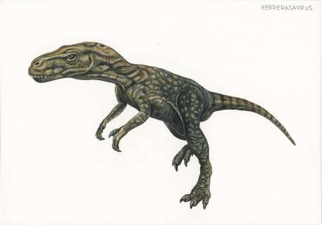 Bunya Watanabe’s Hand-Drawn Color Illustration "Herrerasaurus" | Mandarake (Big Web)