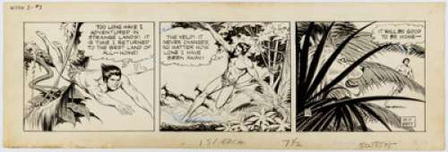 Russ Manning Tarzan Daily Comic Strip Original Art dated 12-11-67 (United Feature Syndicate, 1967)....