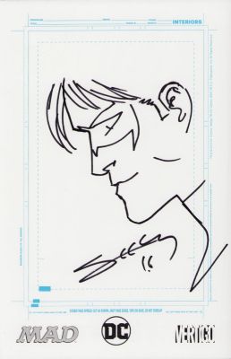 Tim Seeley | Nightwing Ink Art Commission - Signed 2016 | Anthony’s Comic Book Art