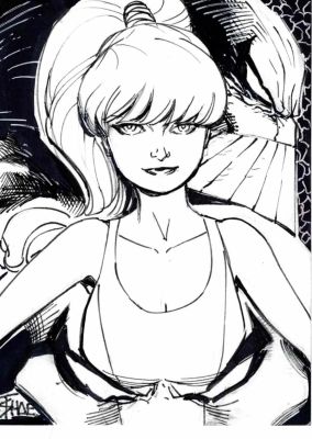 Terry Shoemaker | The Maxx Sketch Card | ComicArtFans Classifieds