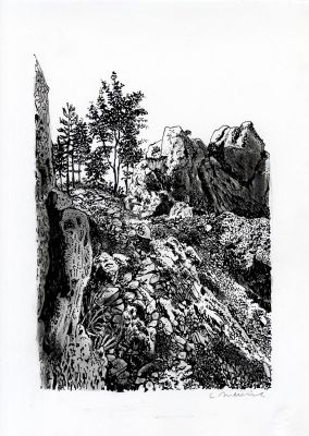 Catherine Meurisse | LE CLAN DE WALDEN – PLANCHE ORIGINALE 127 | Galerie Barbier