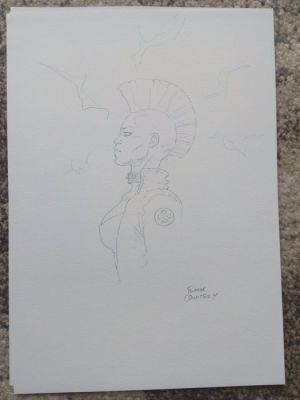 Quitely, Frank - 1 Original drawing - Punk Storm | Catawiki