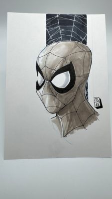 David Baldeon - 1 Pencil drawing - Spiderman - Spiderman | Catawiki