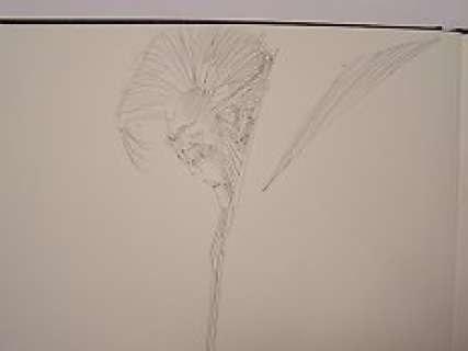 Andreas - Command drawing in ‘De terugkeer van Cromwell Stoneâ€  - hardcover with dust jacket  - (1995)