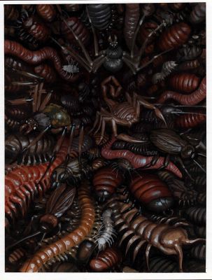 Den Beauvais | Icky Bugs - Guardians Published Collectible Fantasy Card Painting (1990S) | Romitaman