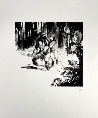 Augustin Virginie Conan... | AUGUSTIN Virginie Conan le cimmerien Couverture du... | Vermot et Associés