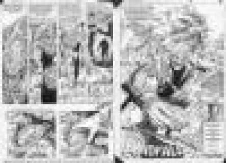 Stan Woch | SWAMP THING (2nd series) # 43 COMPLETE 23 PAGE STORY! | Pedigree Comics