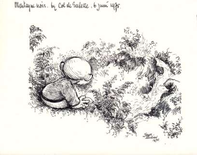 Dulieu, Jean | Dulieu, Jean - Originele tekening - Paulus de Boskabouter bij een beekje in Montagne Noir bij Col de Salette - (1975) | Catawiki