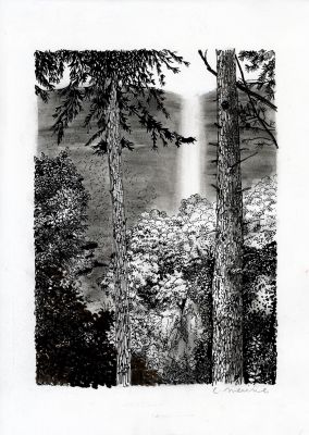 Catherine Meurisse | LE CLAN DE WALDEN – PLANCHE ORIGINALE 125 | Galerie Barbier