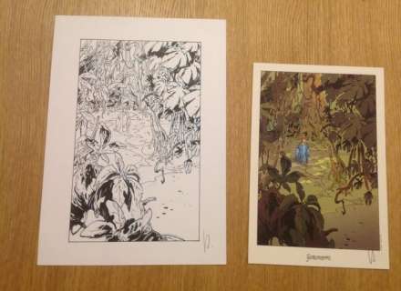 Augustin, Virginie | Illustration for a bookplate  - Alim le Tanneur  - (2009) | Catawiki