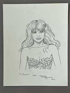 Brian Bolland - 1 Original drawing - Poison Ivy Bleistiftzeichnung mit starkem Ausdruck - 2012 | Catawiki