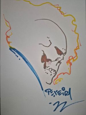 Mark Texeira - Ghost Rider | Catawiki