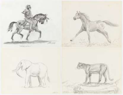 L. B. Cole - Animal Study Illustrations Original Art Group of 10 (undated).... | Heritage