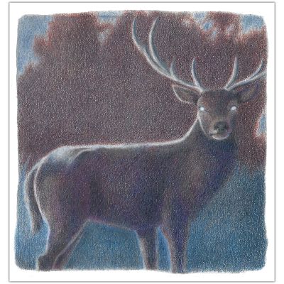 Florian Pigé | Nuit Blanche - Cerf | Achetez de l’Art