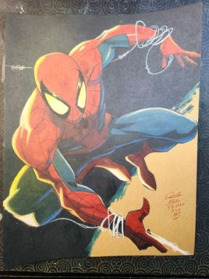 Spiderman Marvel Original Art Signed 8.5x11 COA | eBay US (Buy It Now)