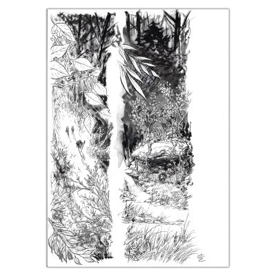 Edouard Cour - Soli Deo Gloria - page originale 49-50 (strips)