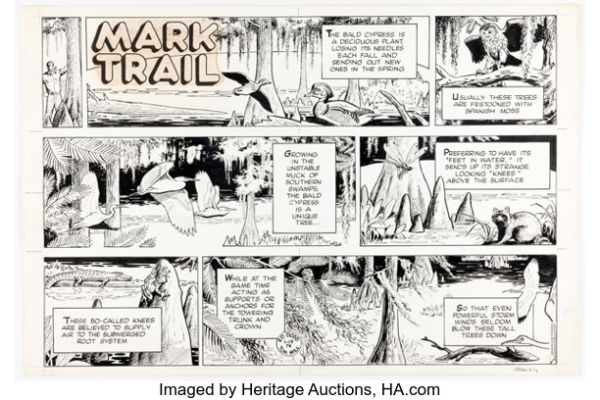 Ed Dodd Mark Trail Sunday Comic Strip Original Art dated 1-13-74 (Hall Syndicate inc., 1974)