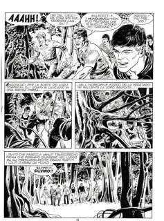 Mister No n. 41 - 2 Tavola Originale "il mistero di Selva Preta" - Loose page - First edition - (1978) | Catawiki