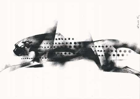 Danijel Zezelj - Illustration Cheetah