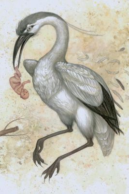Anita Kunz | The Stork, 2010 | Philippe Labaune Gallery