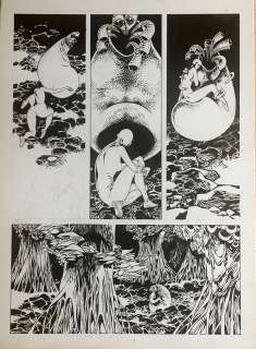 Roberto Bonadimani - Original page cm. 25x35. Ink. Mint