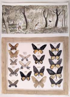 Alba, Tyto - 1 Original colour drawing - Tante Wussi - 2017 | Catawiki