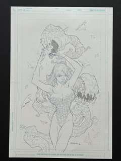 Carlo Barberi - 1 Original drawing - Poison Ivy - Great Commission - 2008 | Catawiki