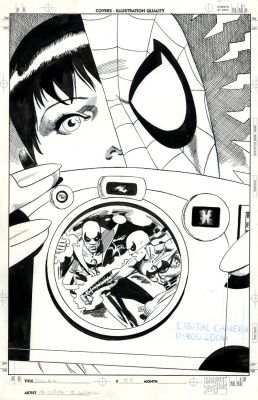 Pat Olliffe Al Williamson | Spider-Girl Spidergirl Issue 24 | Catskill Comics