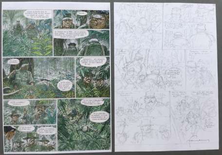 Bernard Prince - Planche originale crayonnés (p.29) - Bernard Prince T18 Menace Sur le Fleuve  - (2010) | Catawiki