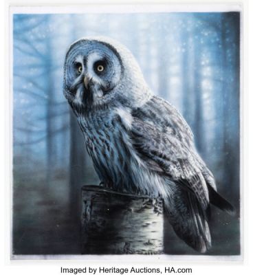 20th Century Artist - Great Gray Owl Painting Illustration Original Art (2017). | Heritage