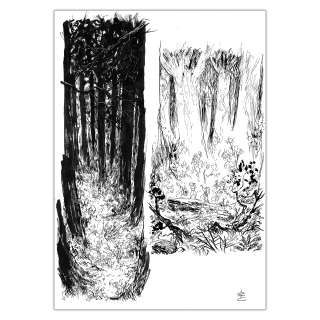 Edouard Cour | Soli Deo Gloria - page originale 19 | Achetez de l’Art