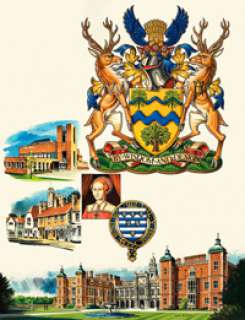 Dan Escott - Welwyn Garden City (Signed)