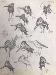 Franquin, André - Crayonné original - Oiseaux | Catawiki