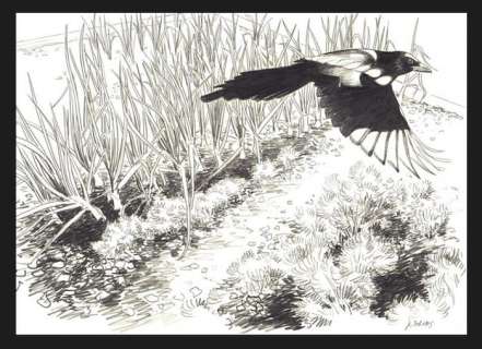 Jean-Claude Servais - 1 Original drawing - Servais - le jardin des glaces - 2008 | Catawiki